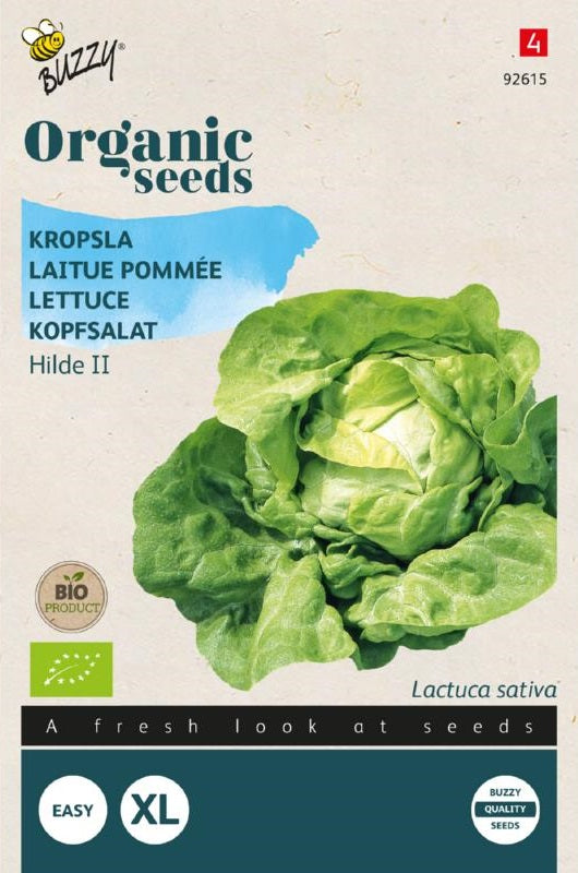 Bio-Kopfsalat (Hilde II)