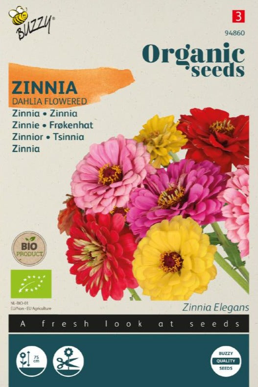 Biologische Zinnia