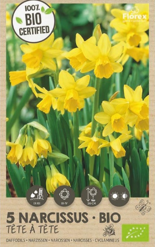 Narcis-Bio-Geel-Bloemen