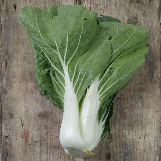 Biologische Pak Choi